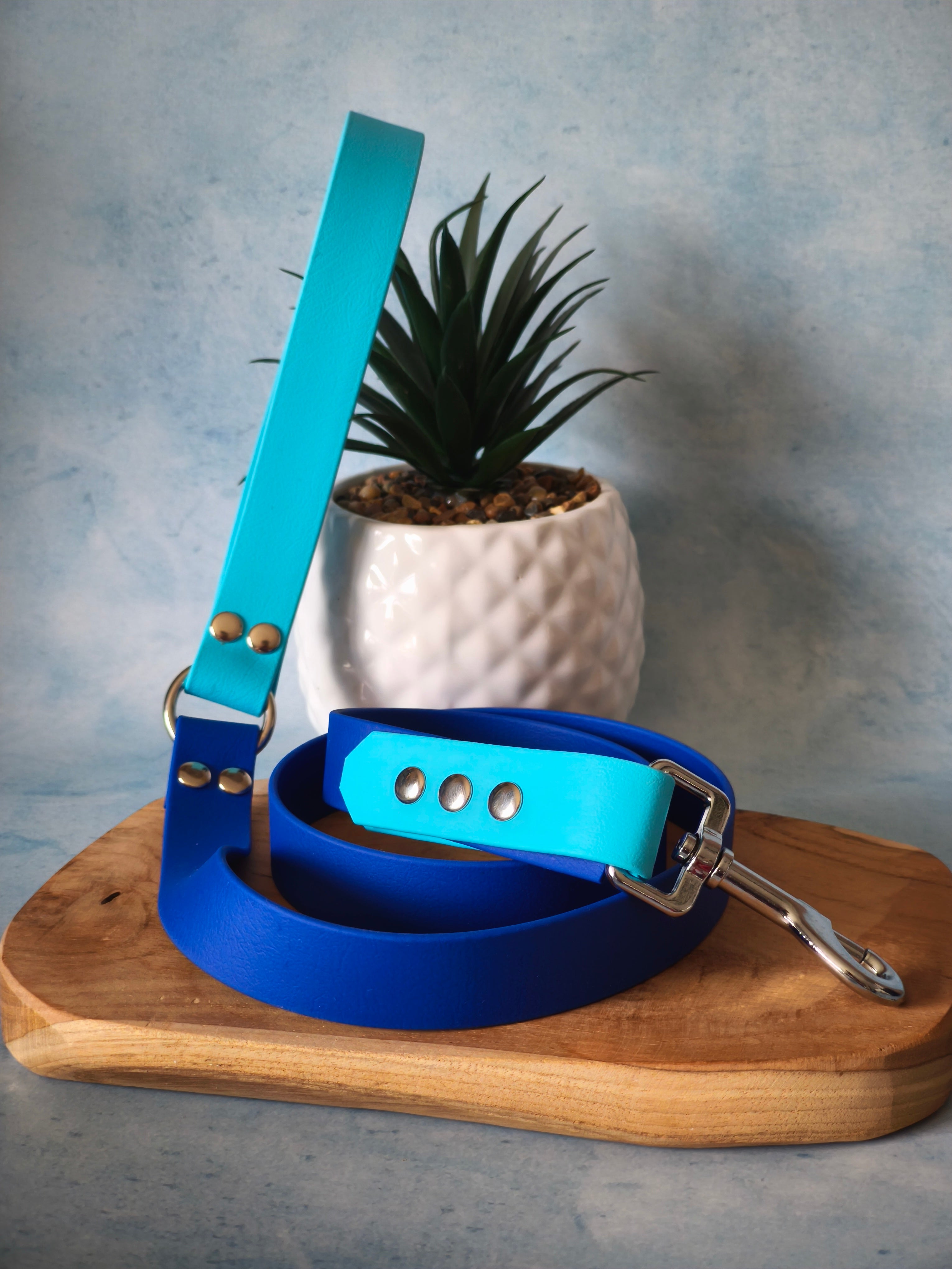 Moa leash / 1m20