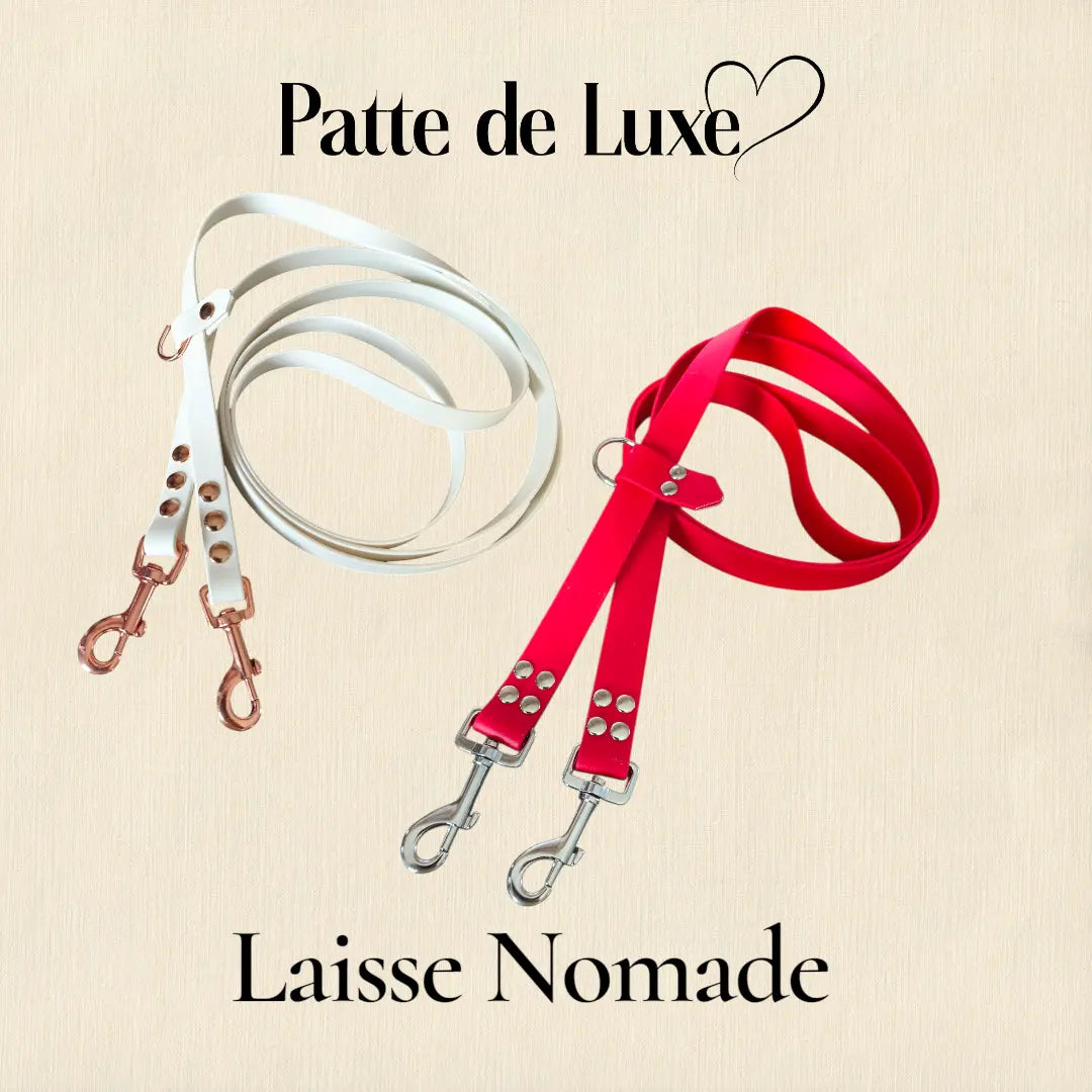 Laisse Nomade