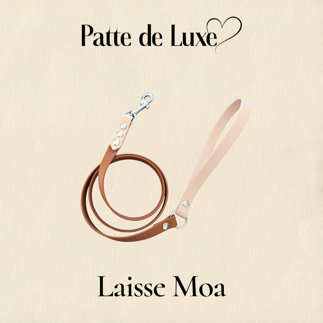 Laisse Moa
