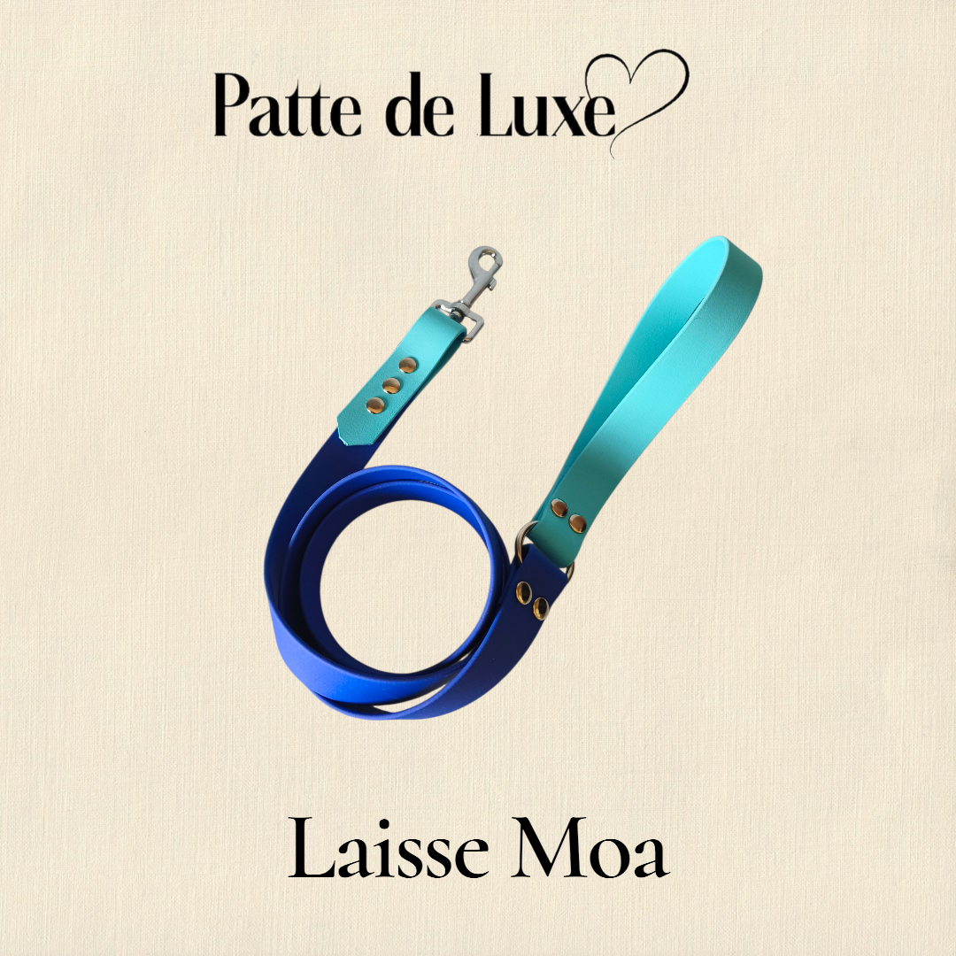 Laisse Moa 25 mm