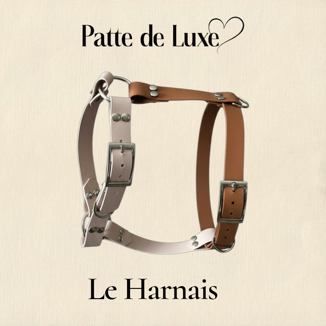 le Harnais