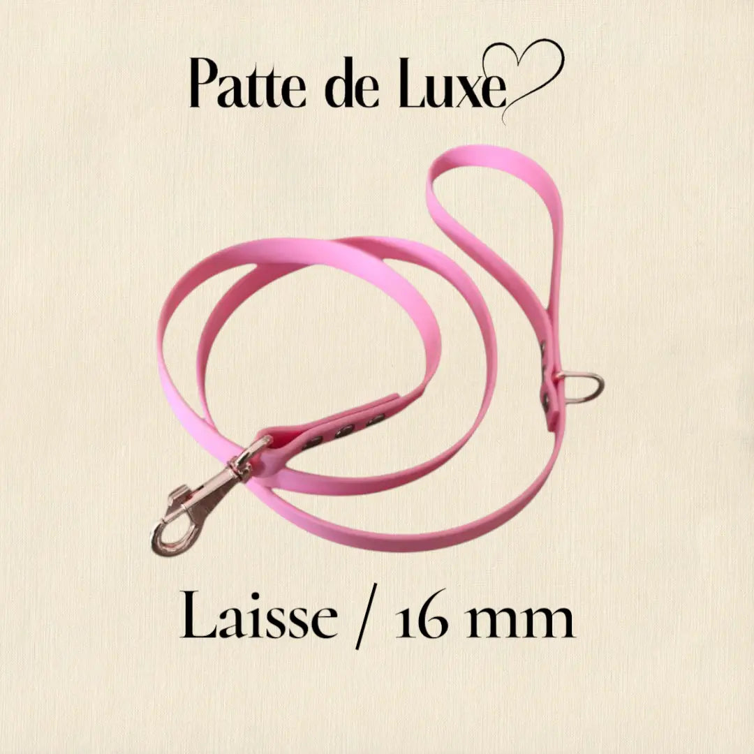 Laisse 1m20 / 16 mm