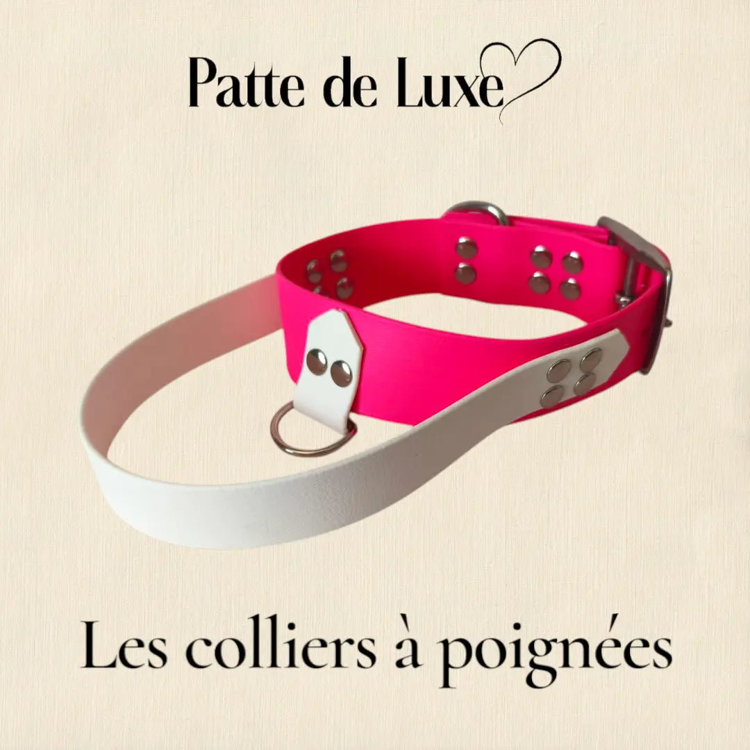 Les Colliers à poignées en 38mm