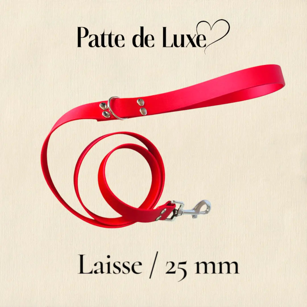 laisse 1m20 / 25mm