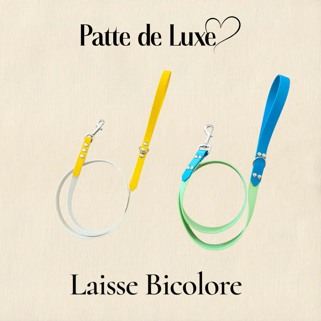 laisse bicolore