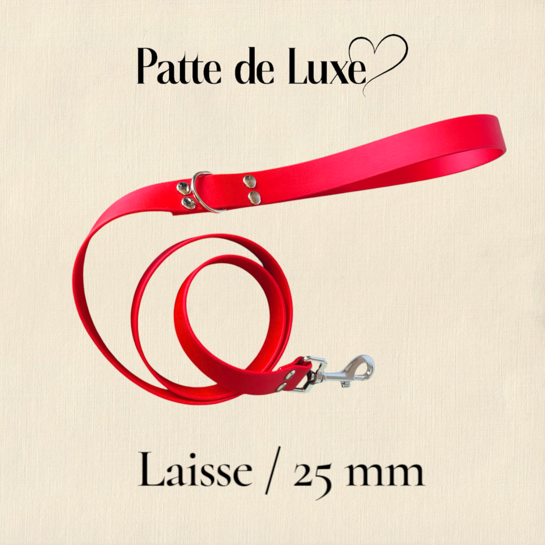 Laisse 1m20 / 25mm Patte de luxe