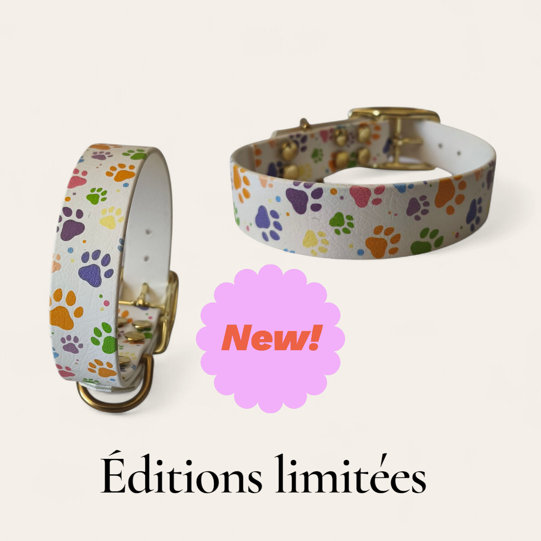 Collier empreinte de patte Patte de luxe