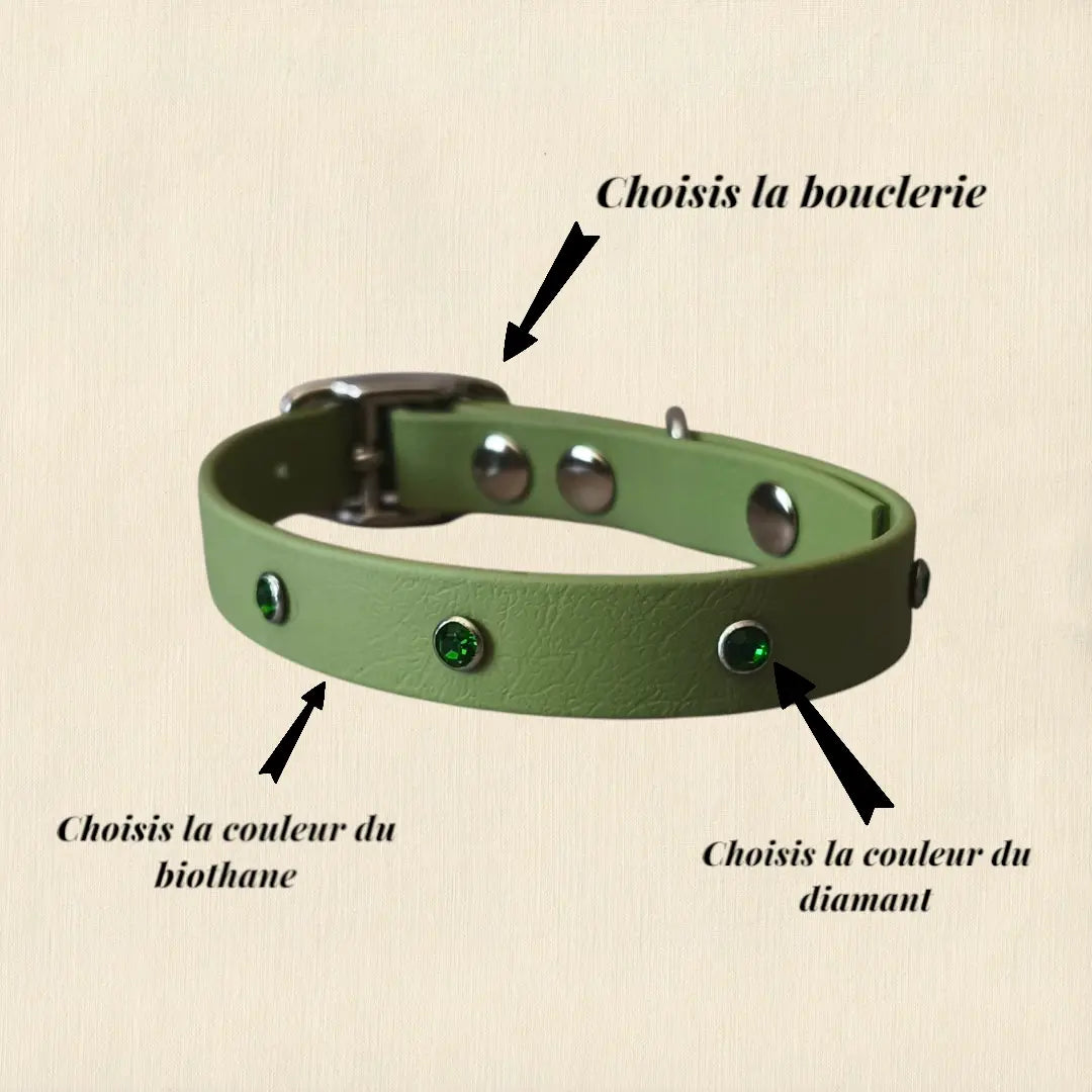 Collier à Diamants personnalisable en biothane beta -16 mm Patte de luxe
