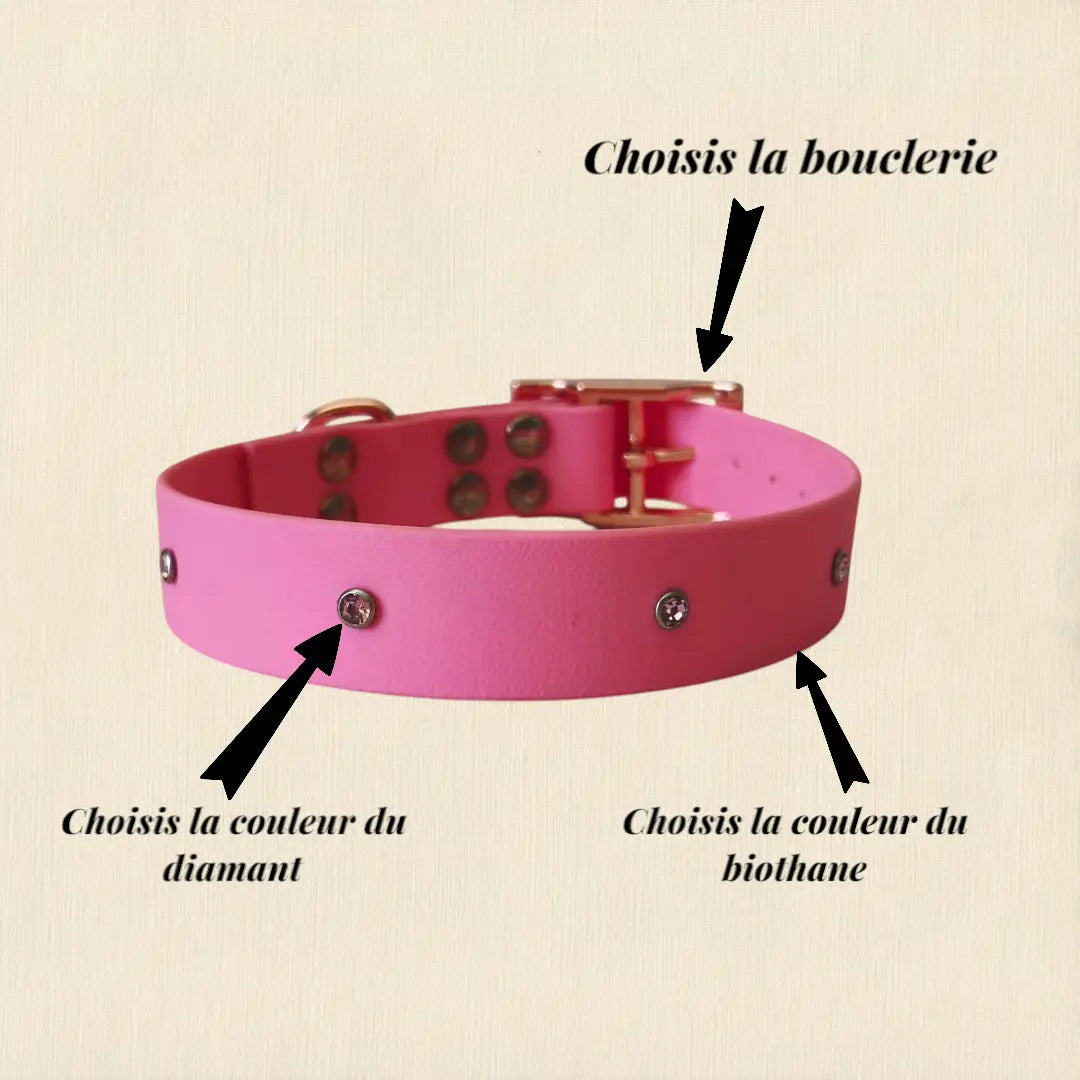 Collier à Diamants personnalisable en biothane beta -25mm Patte de luxe