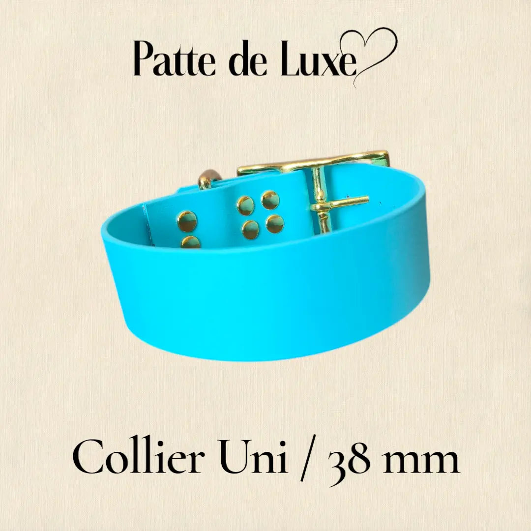 Collier Uni personnalisable en biothane beta -38 mm Patte de luxe