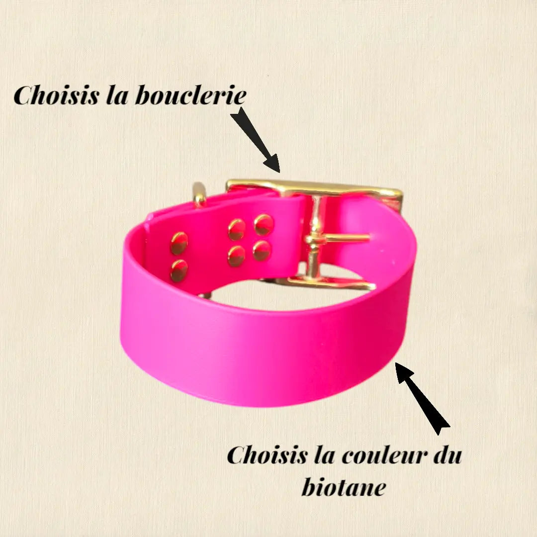 Collier Uni personnalisable en biothane beta -38 mm Patte de luxe