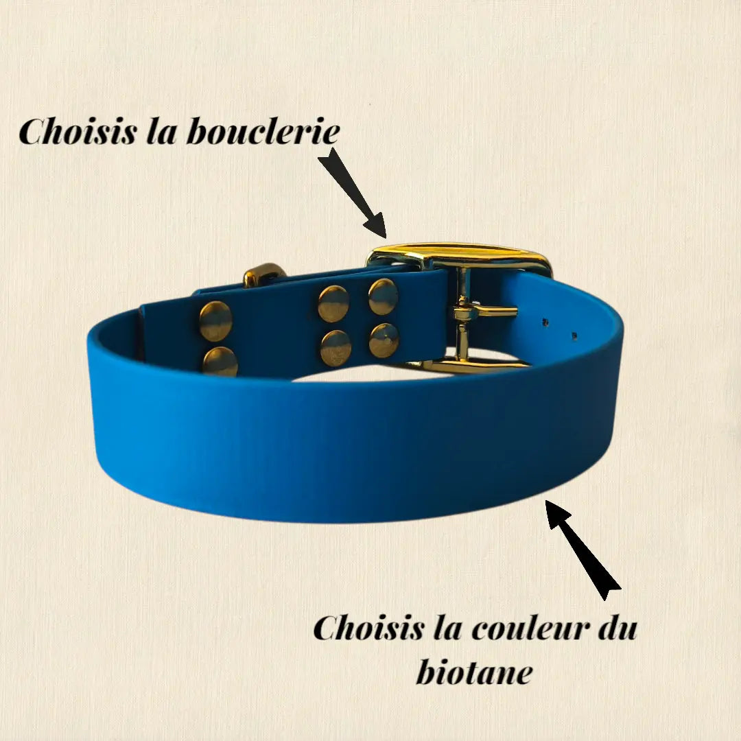 Collier Uni personnalisable en biothane beta -25mm Patte de luxe
