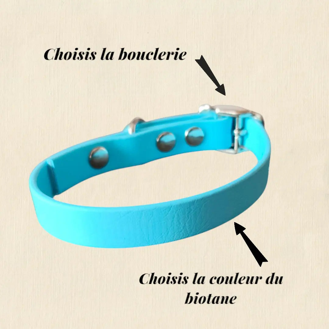 Collier Uni personnalisable en biothane beta -16 mm Patte de luxe