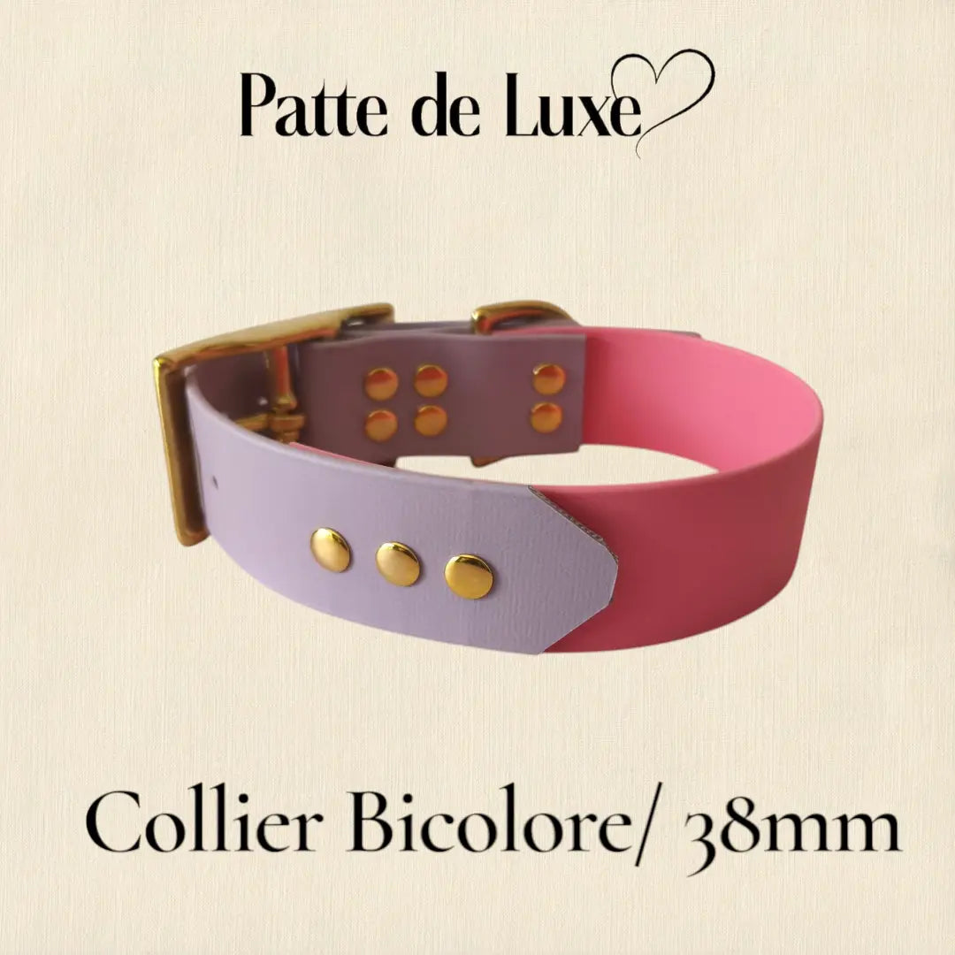 Collier Bicolore personnalisable en biothane beta / 38 mm Patte de luxe