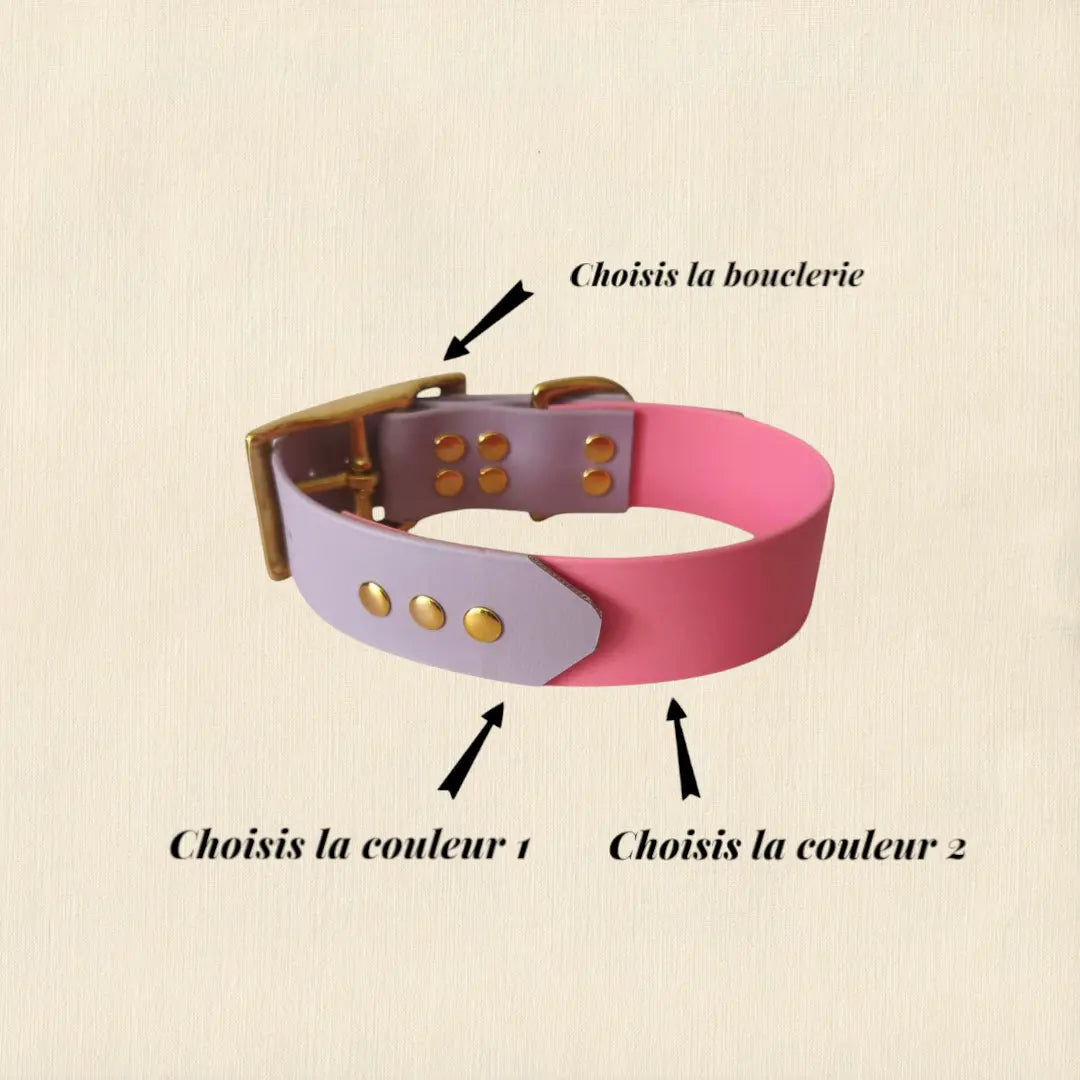 Collier Bicolore personnalisable en biothane beta / 38 mm Patte de luxe