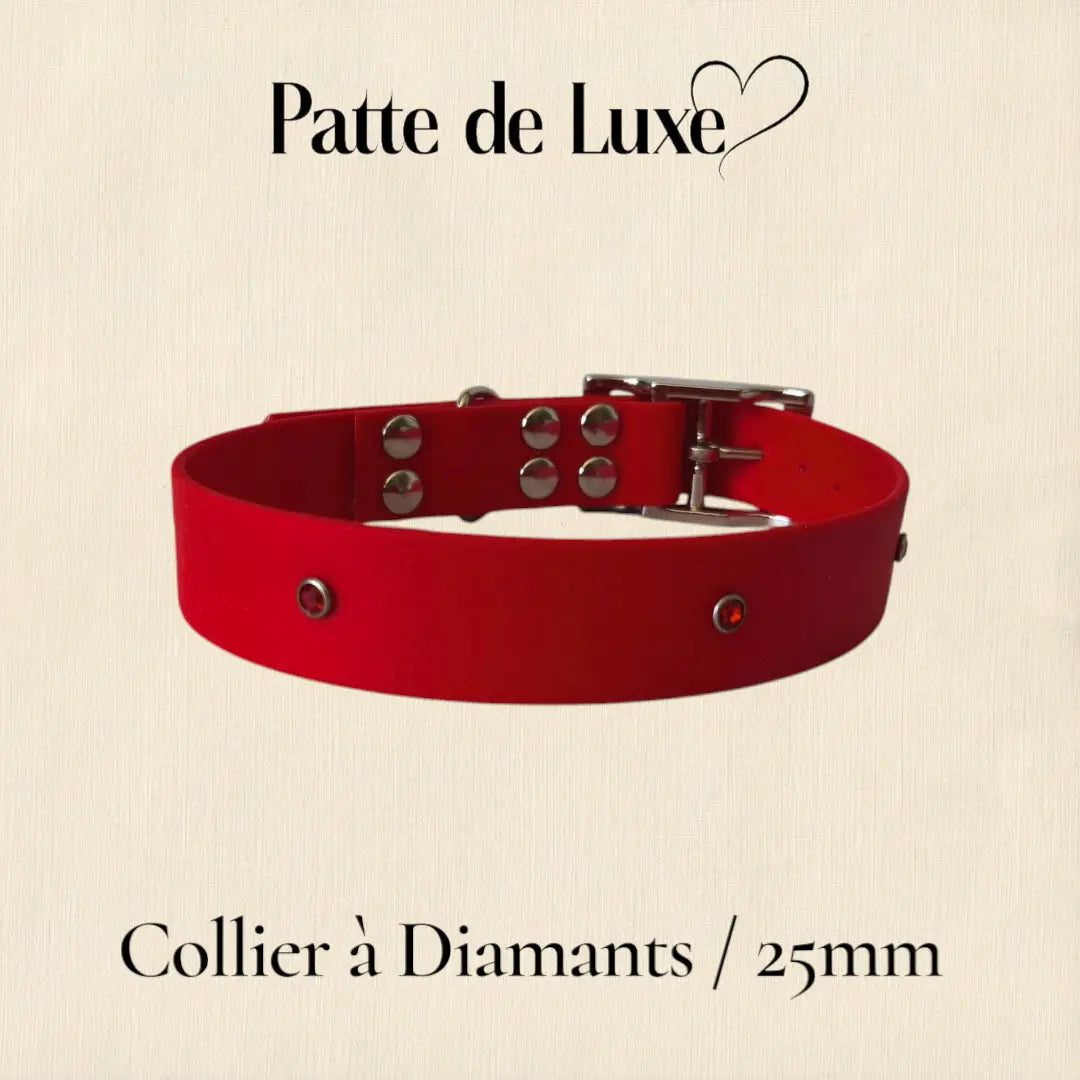 Collier à Diamants personnalisable en biothane beta -25mm Patte de luxe