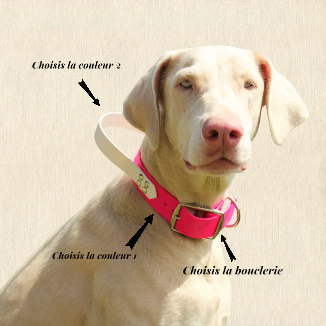 Collier à poignée Patte de luxe