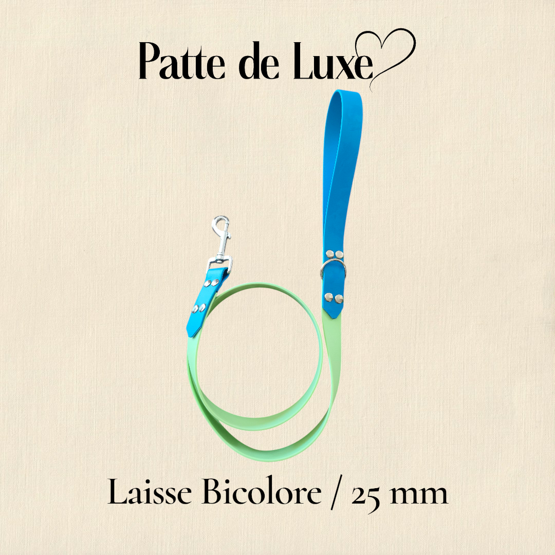 Laisse  Bicolore 1m20 / 25mm Patte de luxe