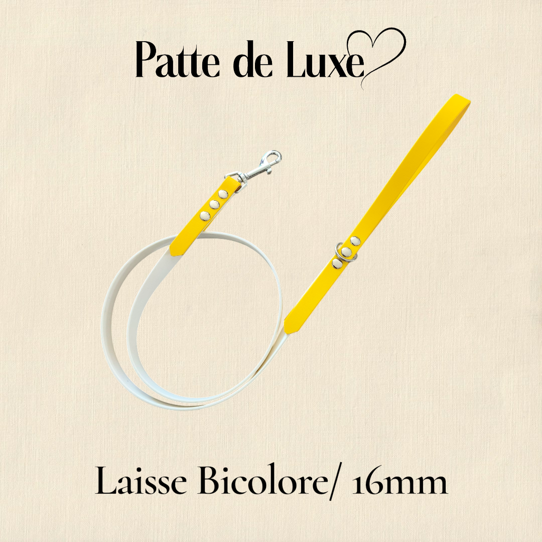 Laisse  Bicolore 1m20 / 16 mm Patte de luxe