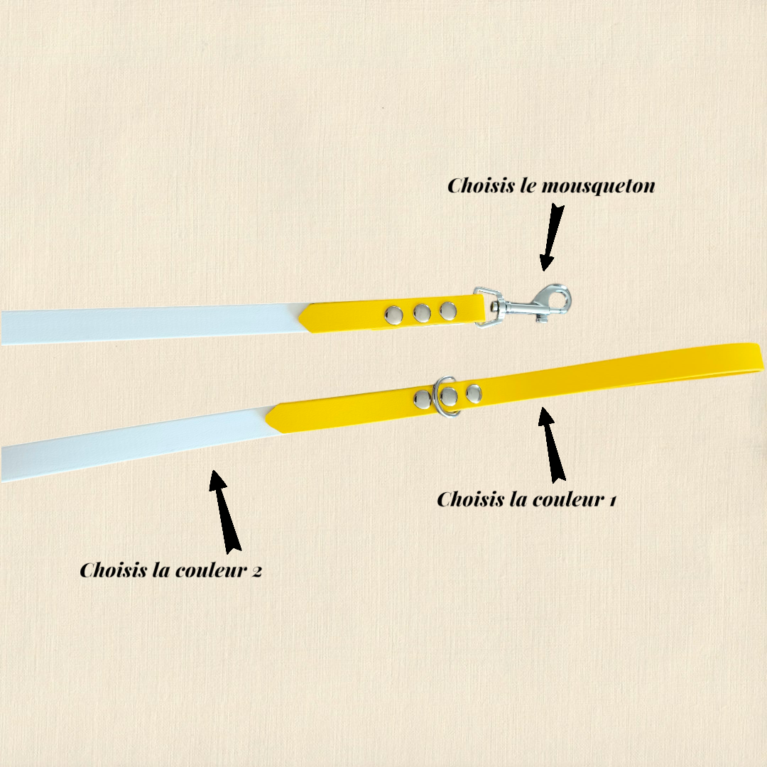 Laisse  Bicolore 1m20 / 16 mm Patte de luxe