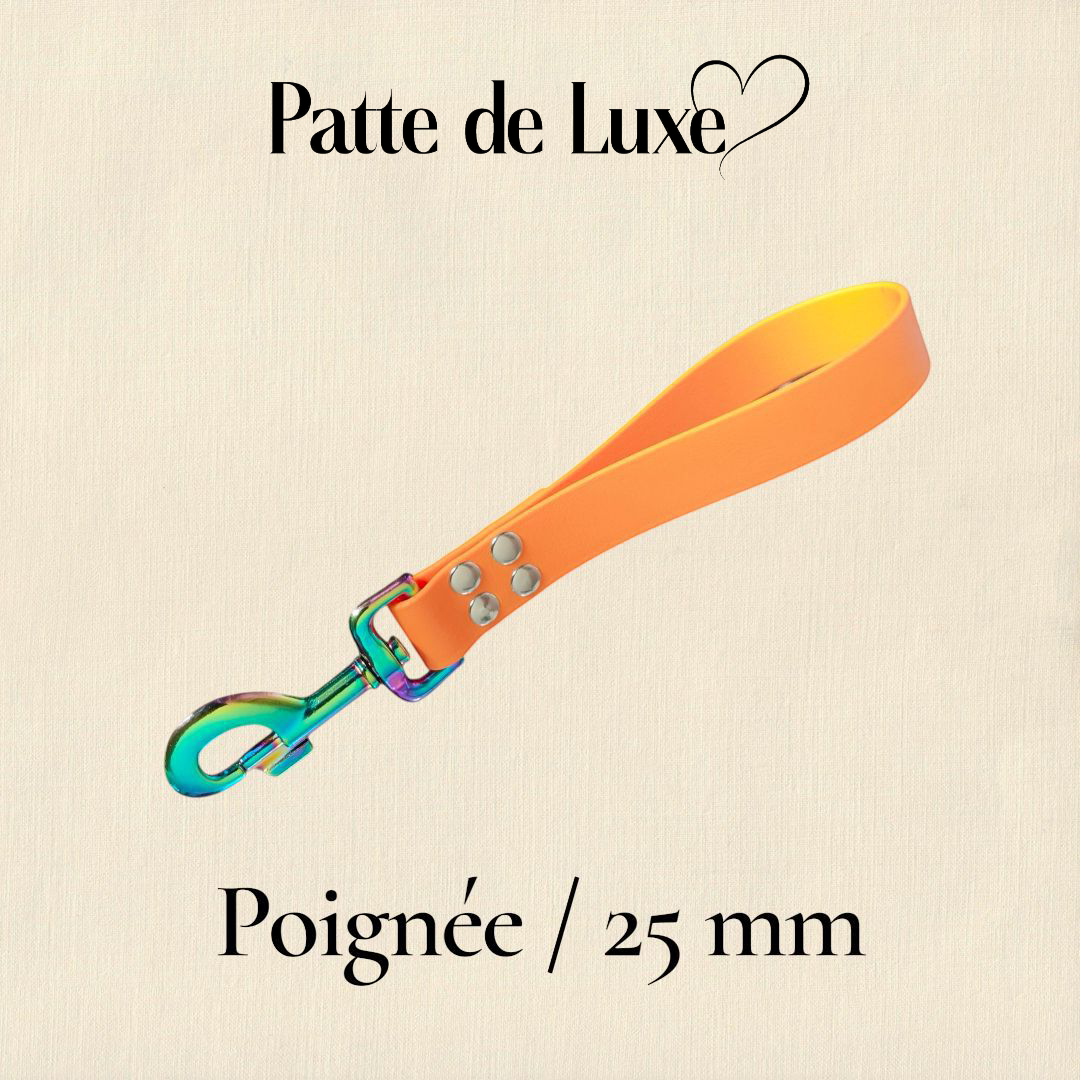 Poignée / 25mm Patte de luxe