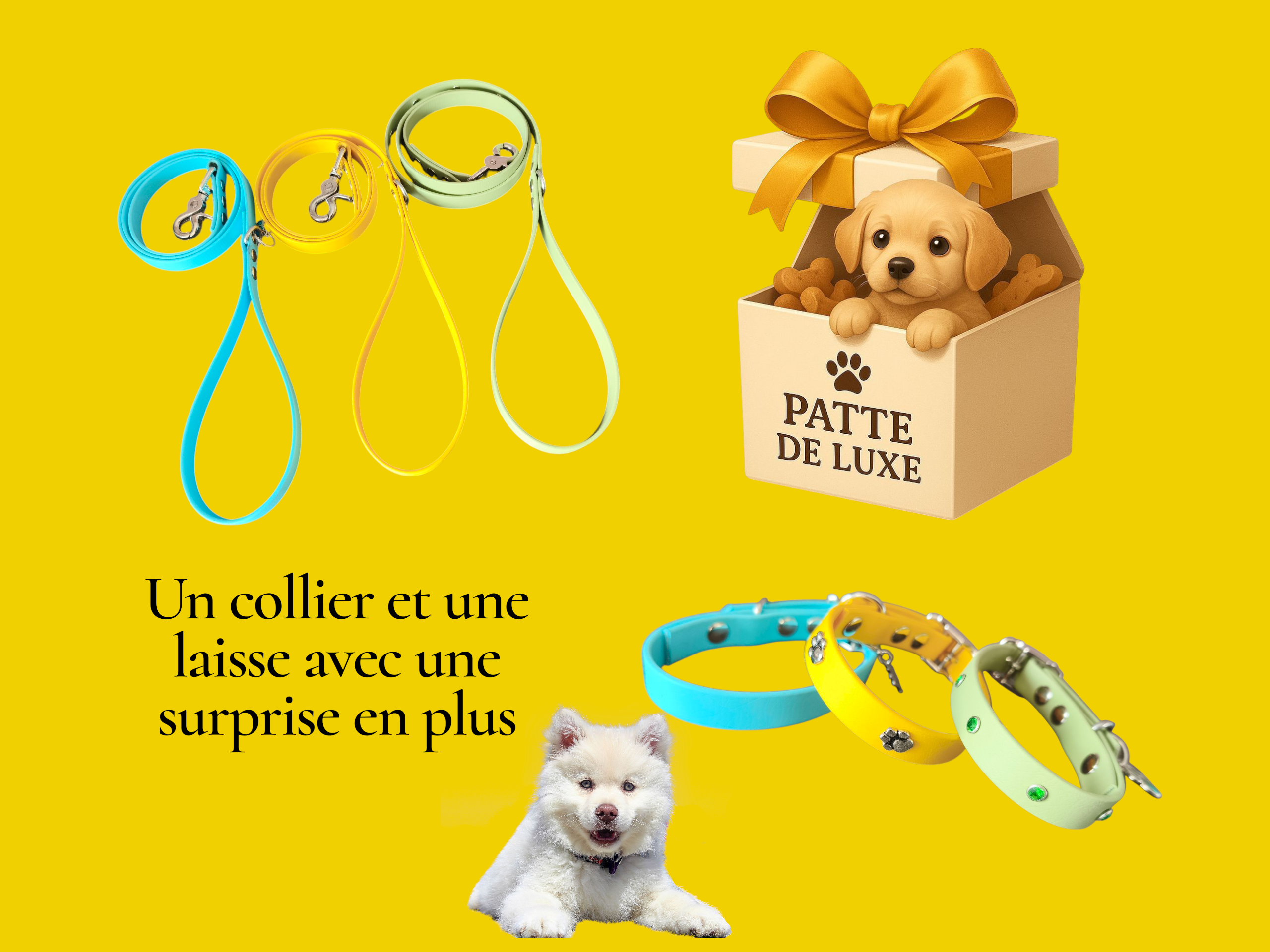 kit chiot empreinte de patte Patte de luxe