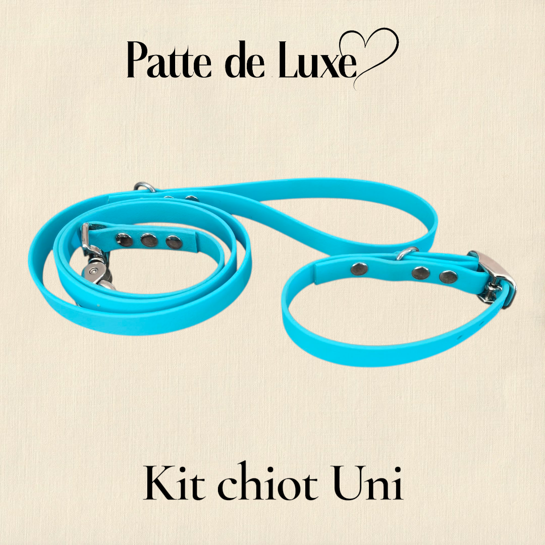 kit chiot uni Patte de luxe