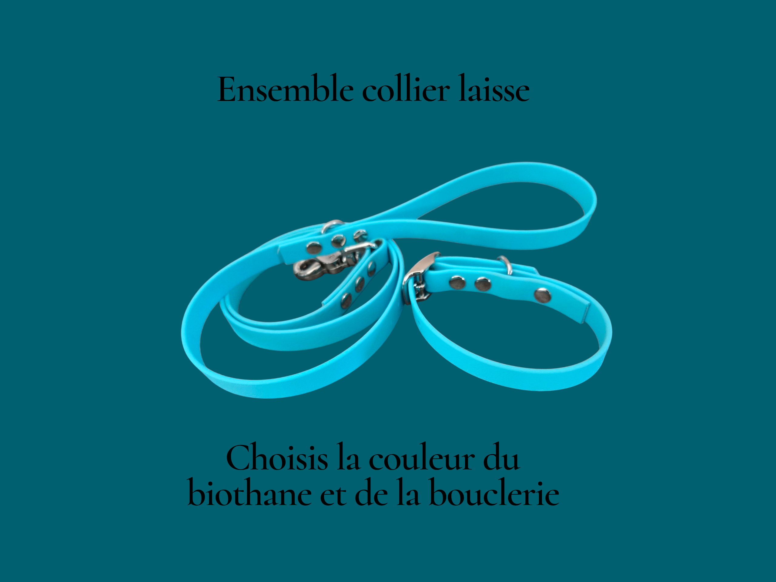 kit chiot uni Patte de luxe