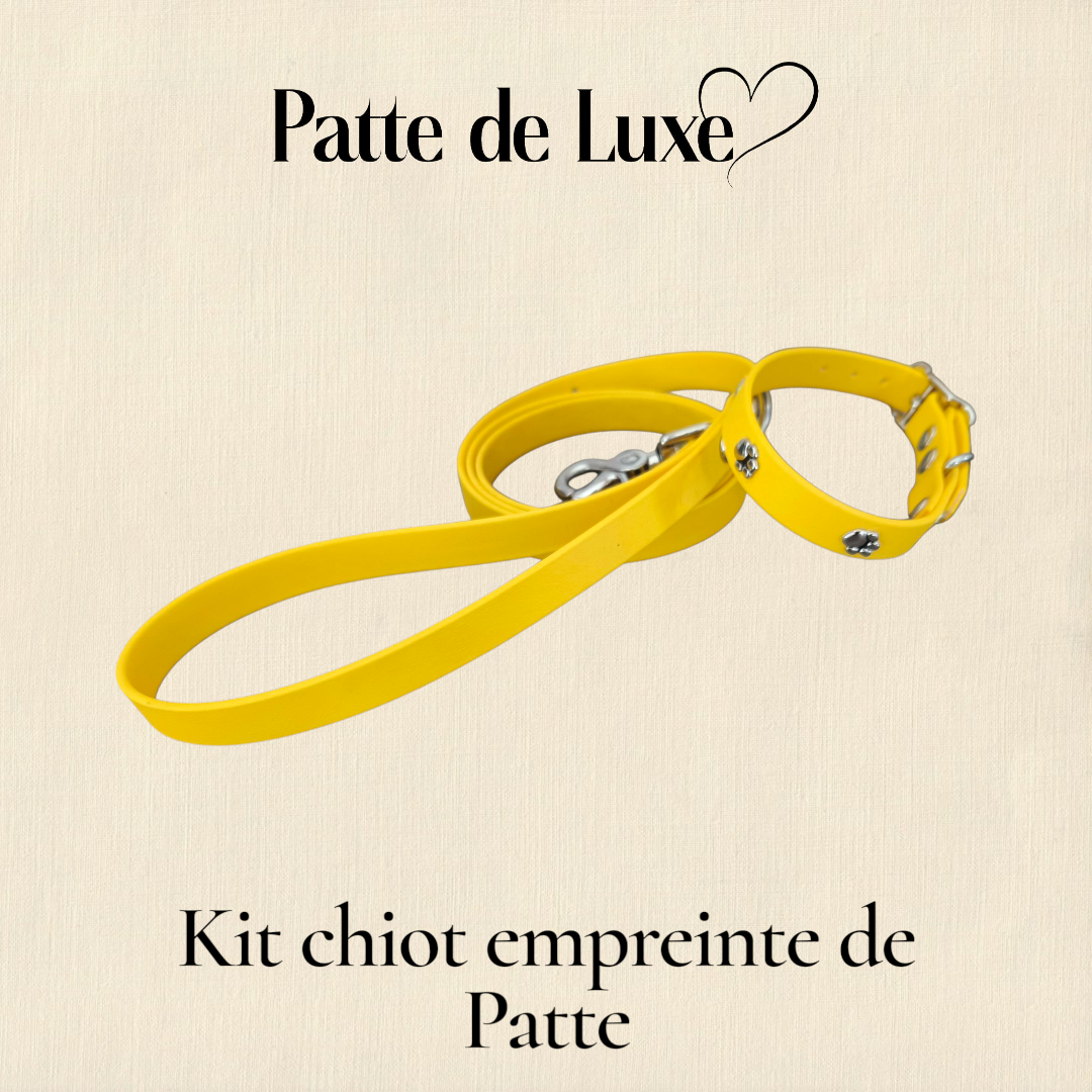 kit chiot empreinte de patte Patte de luxe