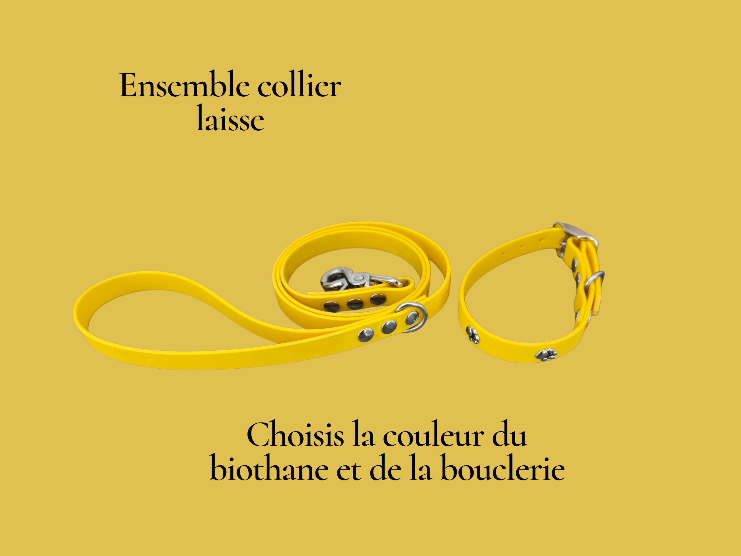 kit chiot empreinte de patte Patte de luxe