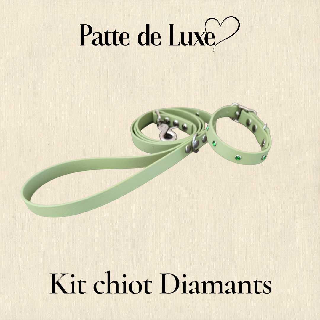 kit chiot diamants Patte de luxe