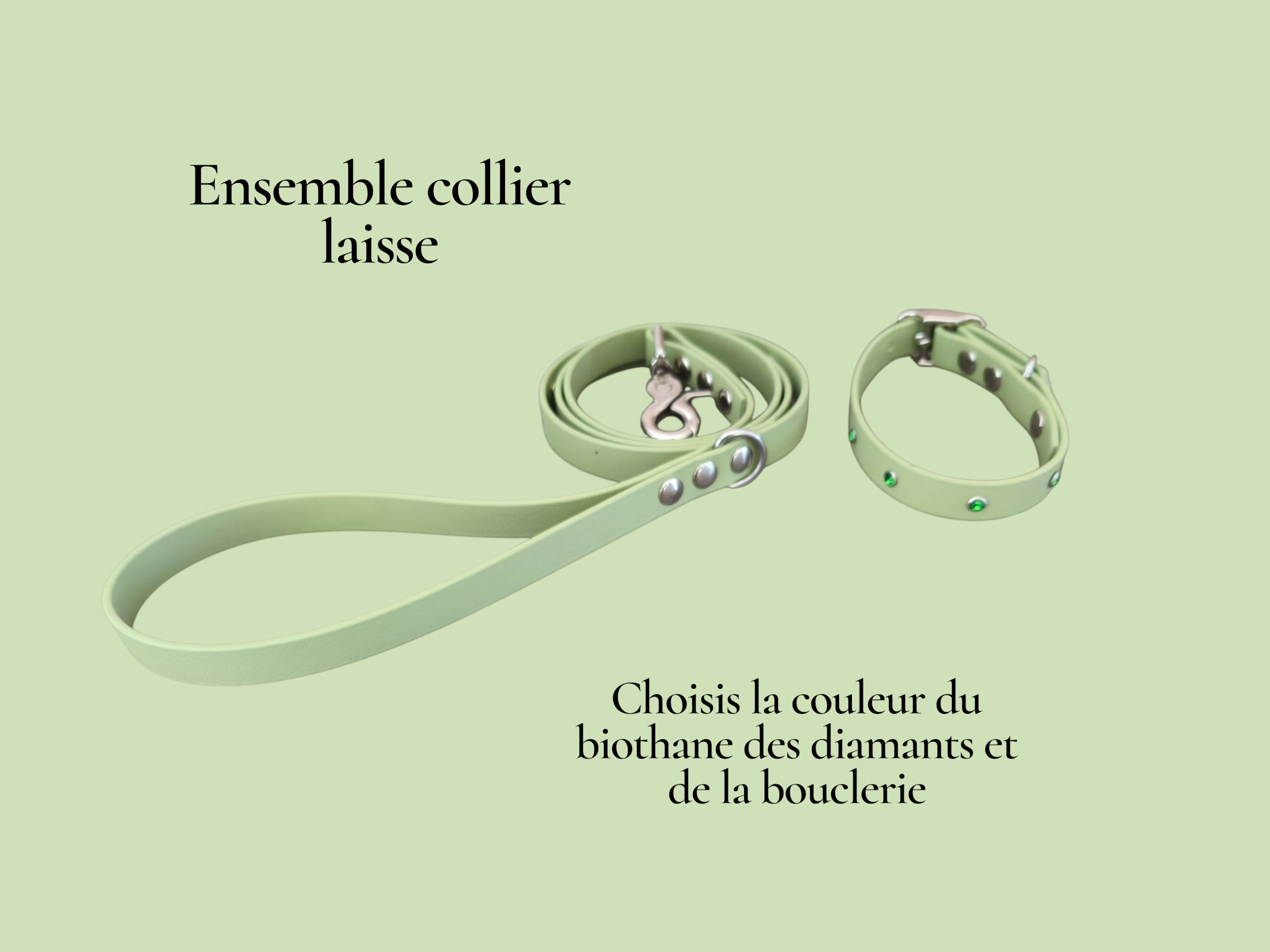 kit chiot diamants Patte de luxe