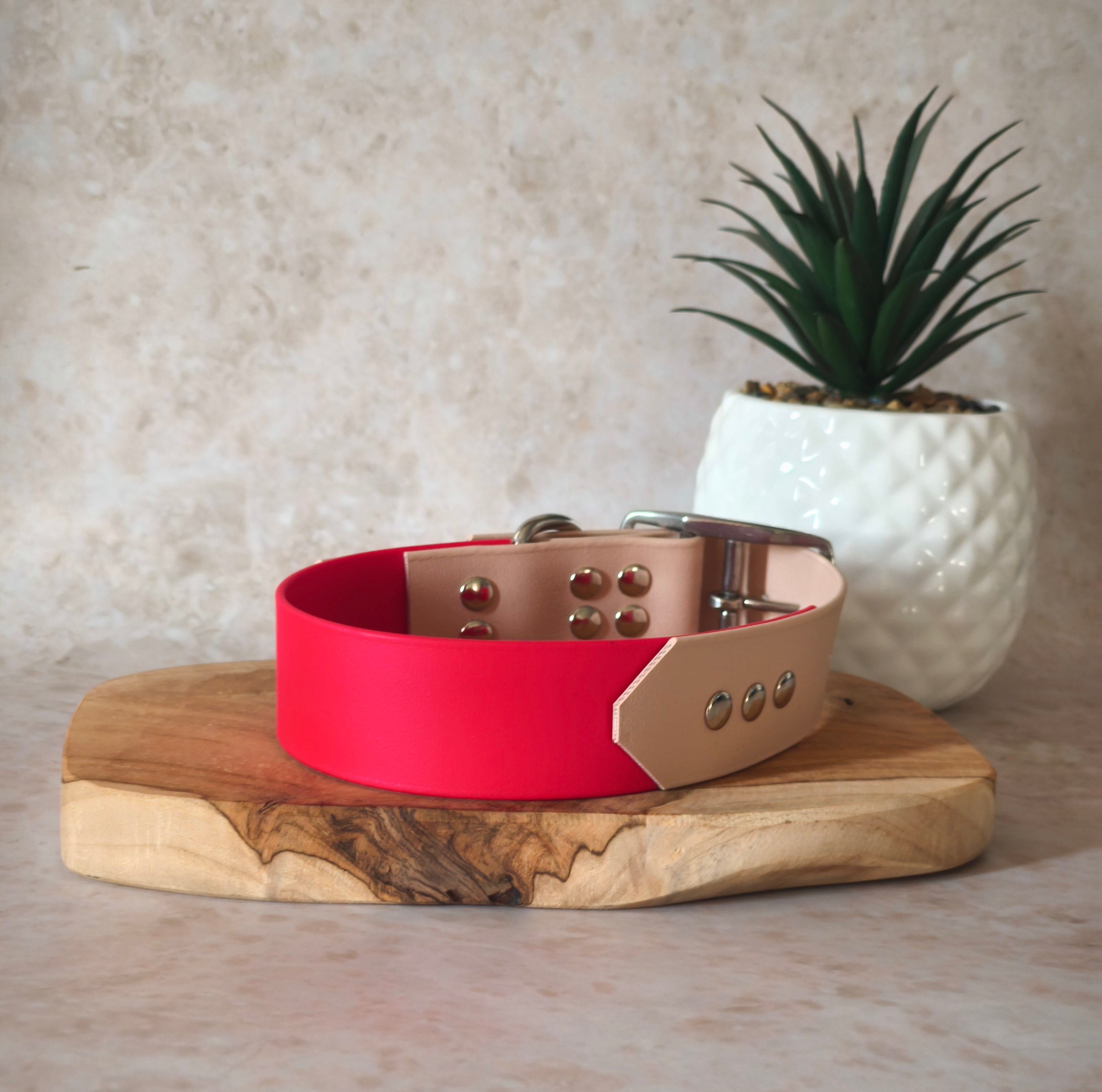 Collier Bicolore personnalisable en biothane beta / 38 mm