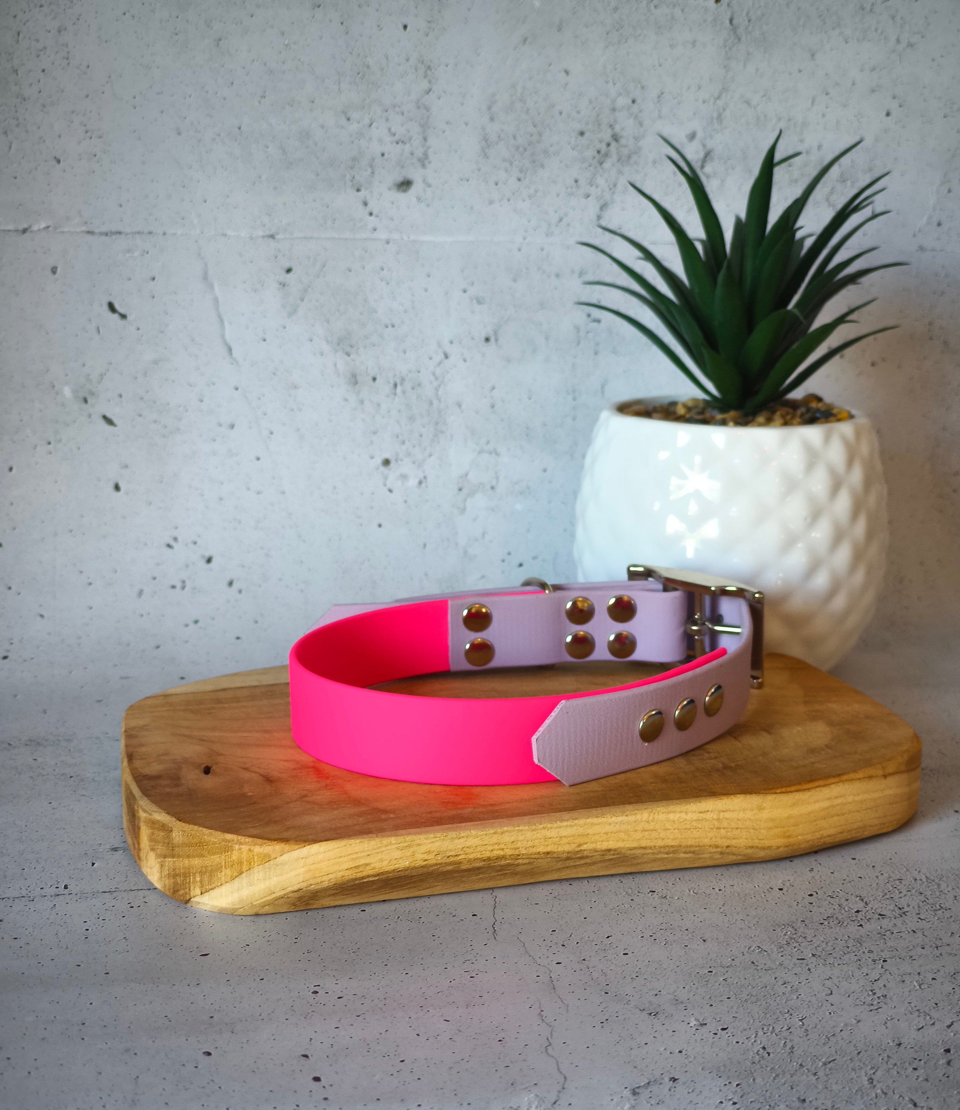 Collier Bicolore personnalisable en biothane beta / 25mm
