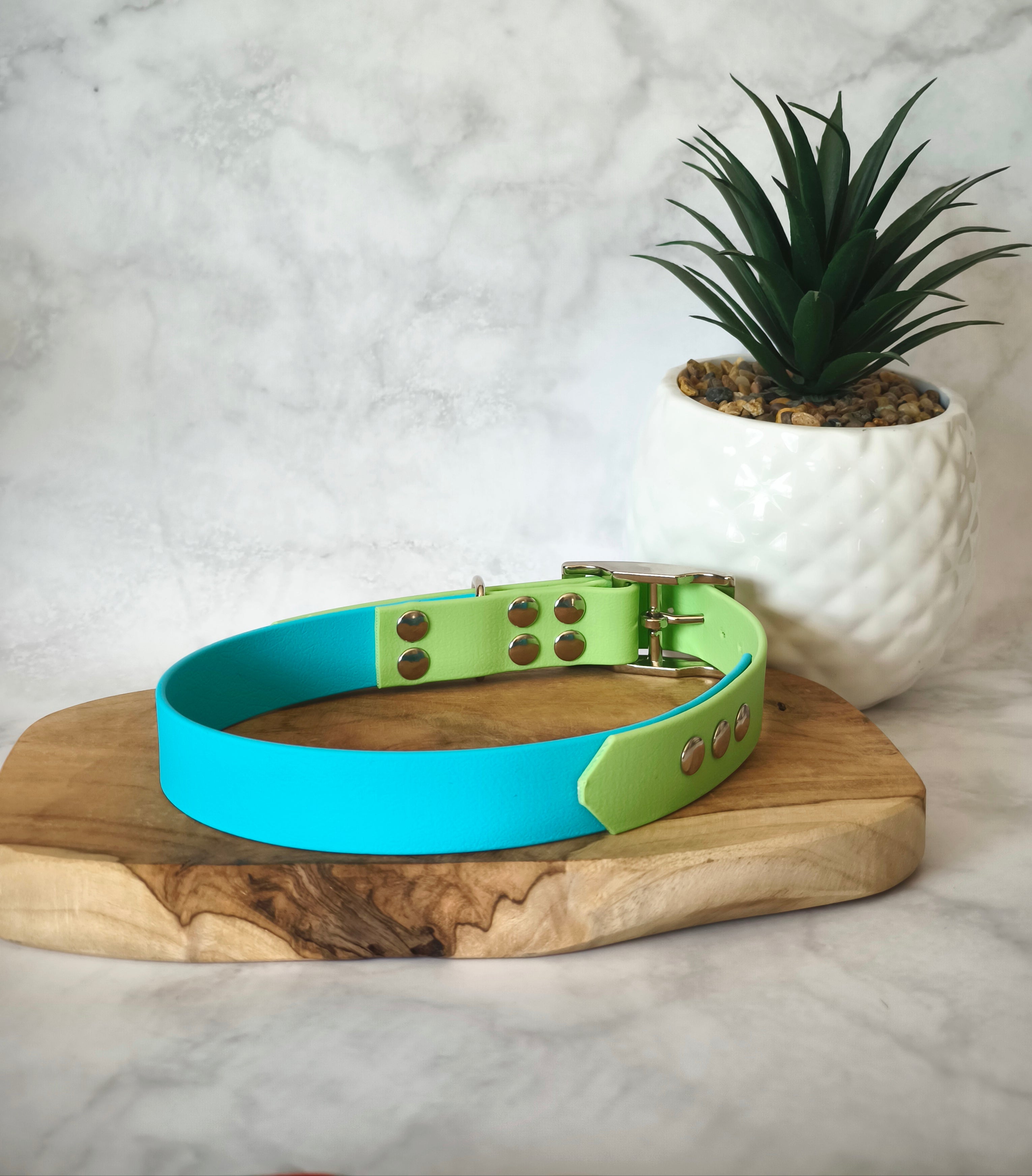 Collier Bicolore personnalisable en biothane beta / 25mm