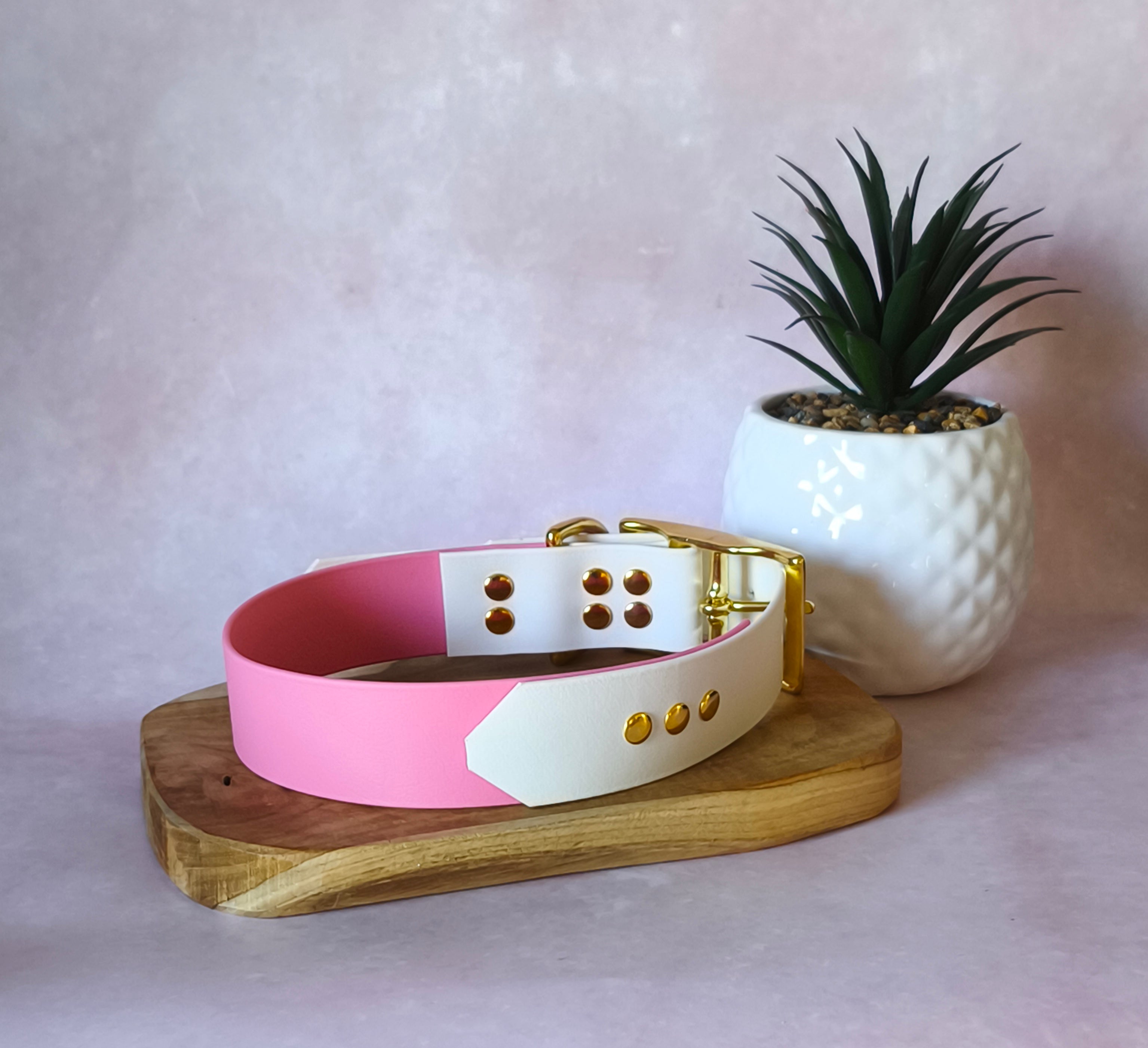 Collier Bicolore personnalisable en biothane beta / 38 mm